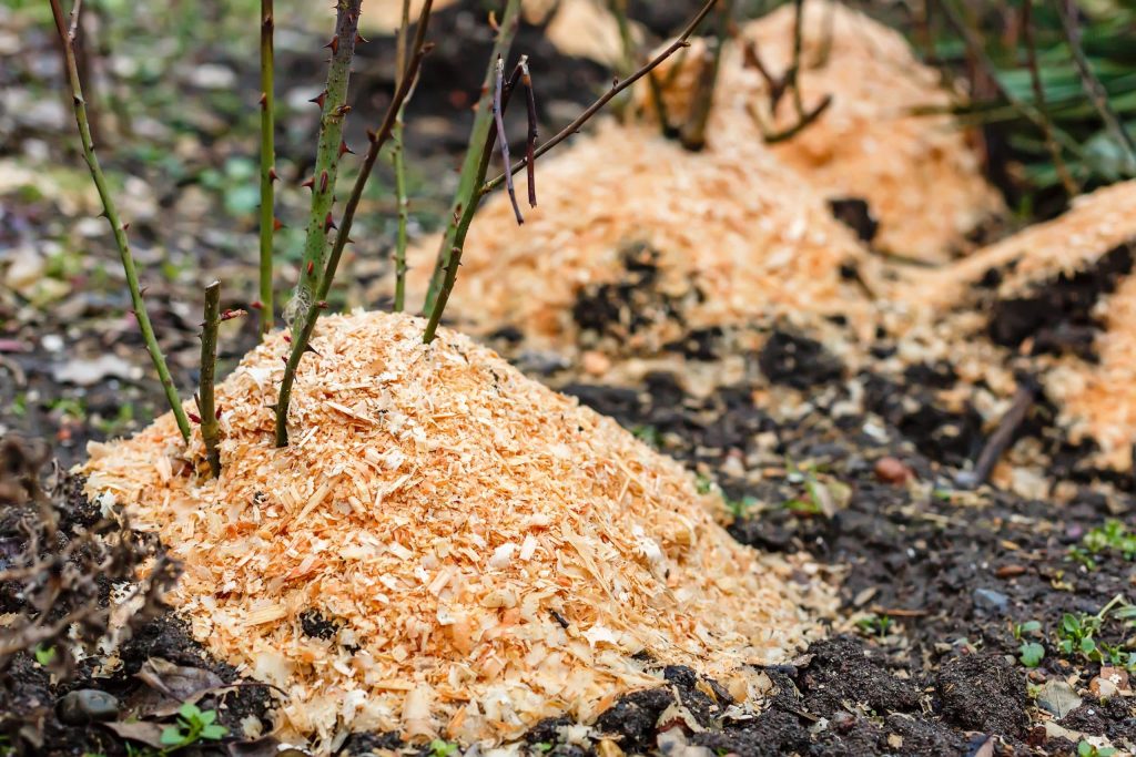 Creative Uses for Sawdust in Your Home and Garden: Stop Wasting Your Waste Garden