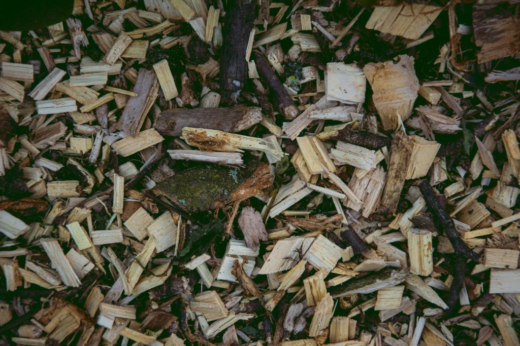 Recycling and Disposal