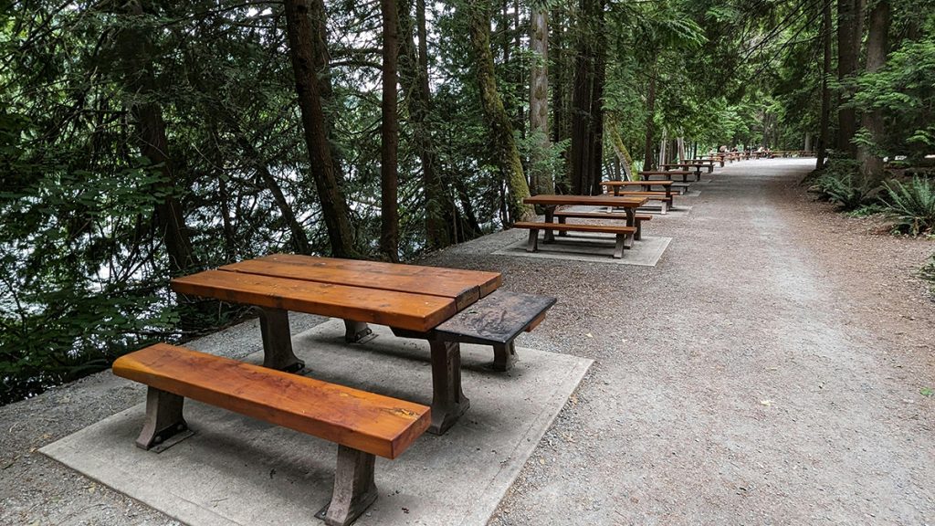 Free Picnic Table Plans: 5 Best Designs for Your Backyard