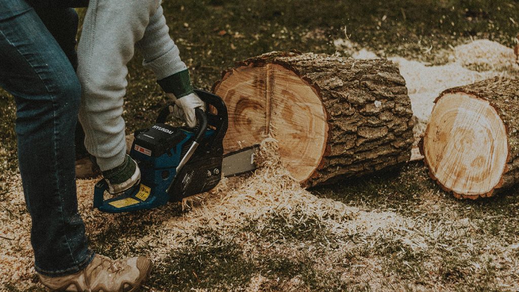 Creative Uses for Sawdust in Your Home and Garden: Stop Wasting Your Waste