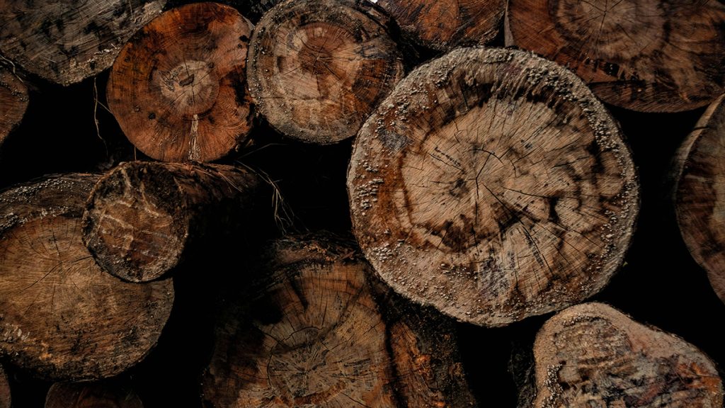 uide to Hardwoods: Oak vs. Teak vs. Pine