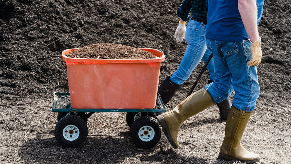 Best Composting Bins for Wood Shavings